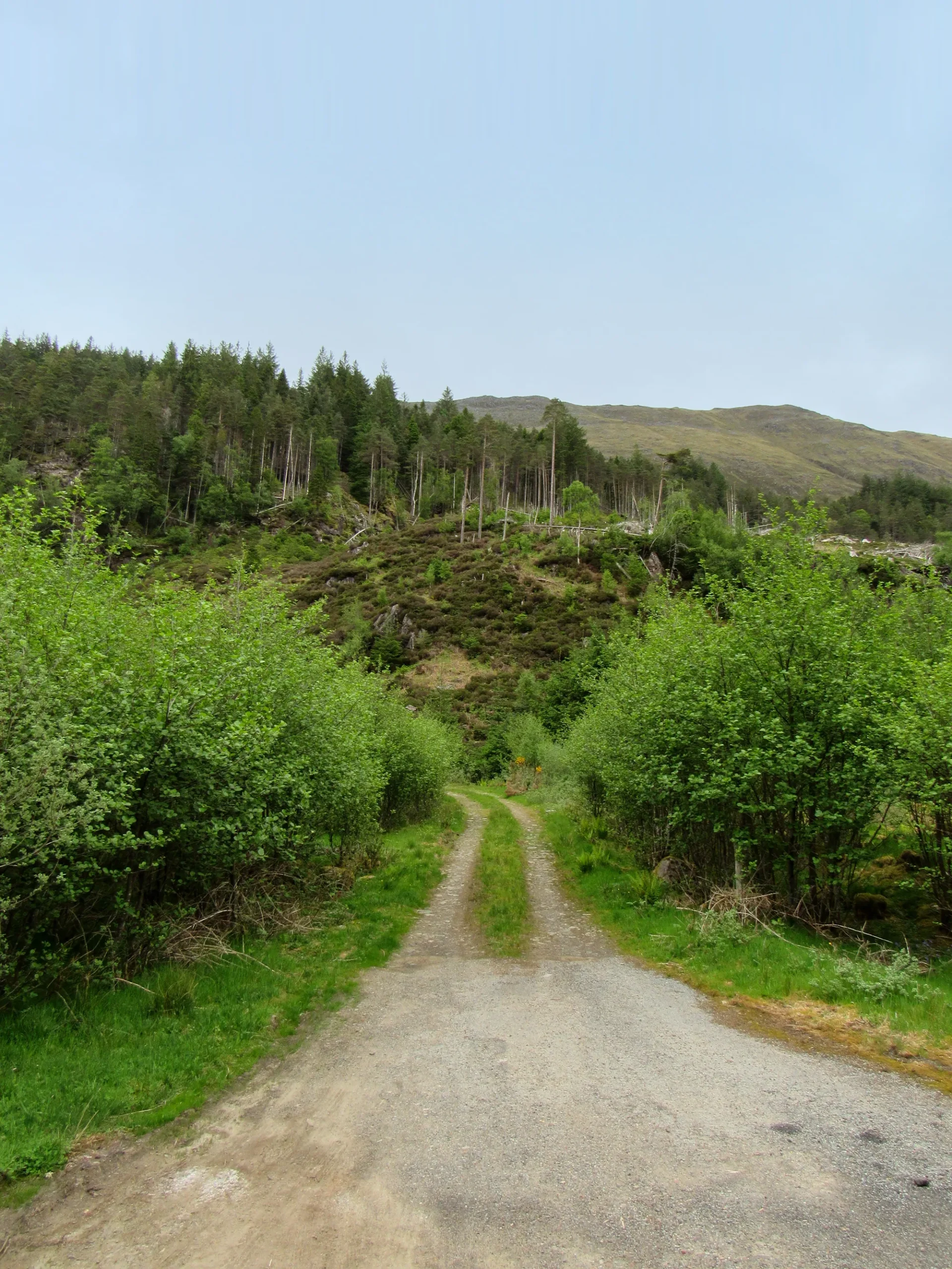 Terrain naturel avec route et collines